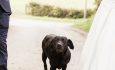 Venues to Vows - Heledd Roberts-54-min